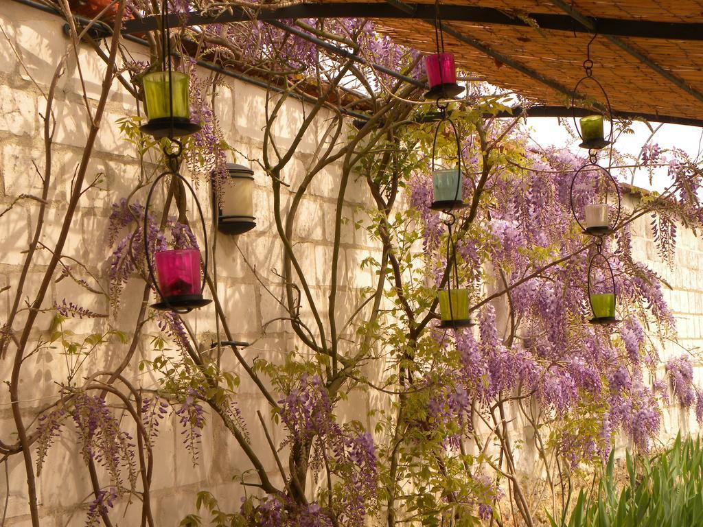 ホテルEntre Cour Et Jardin シャロン・アン・シャンパーニュ エクステリア 写真